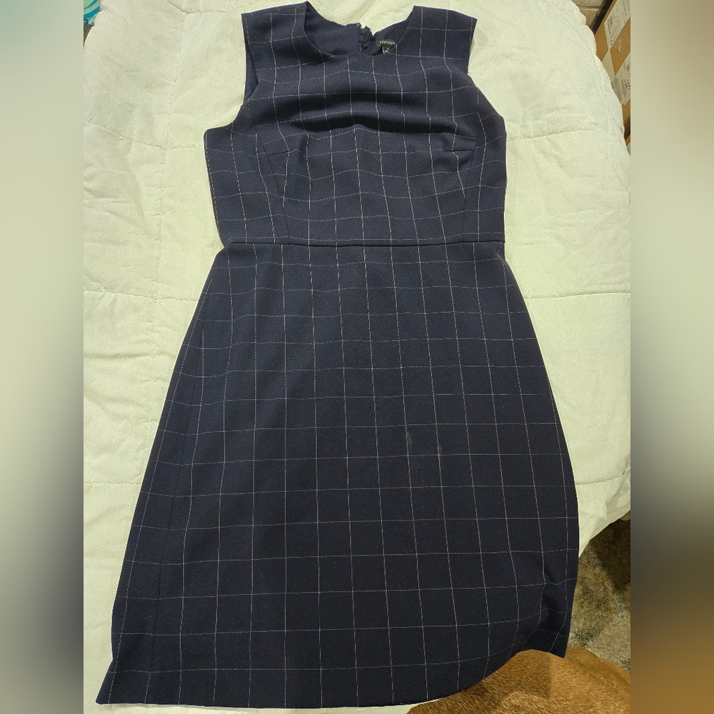 Ann Taylor Business Dress
